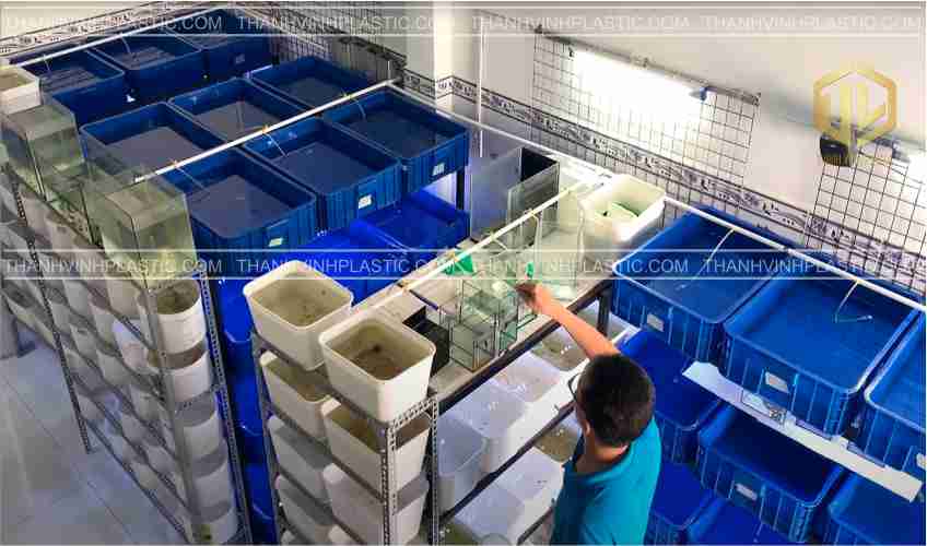 ?ng d?ng sóng nh?a bít 1t5 trong nu?i cá c?nh