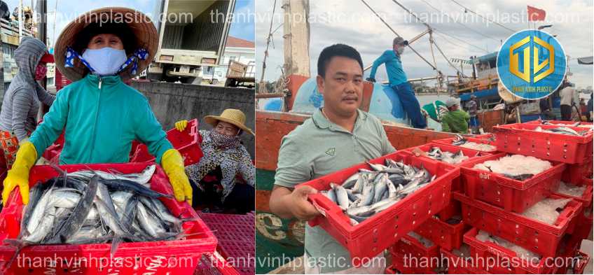 dùng sóng cá trong b?o qu?n th?y s?n