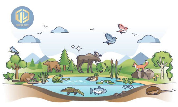 M?i tr??ng s?ng c?a sinh v?t