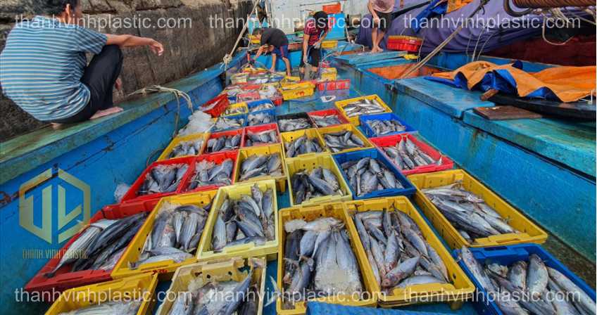 sóng cá trong ?ánh b?t th?y s?n