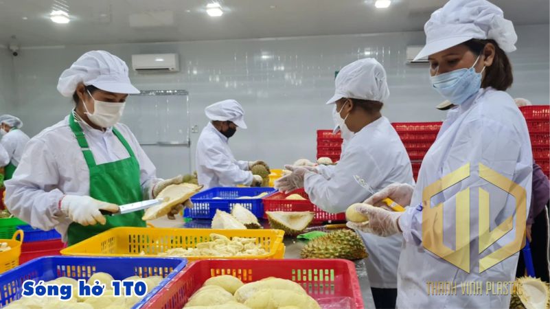 sóng h? 1t0 c?p ??ng s?u riêng