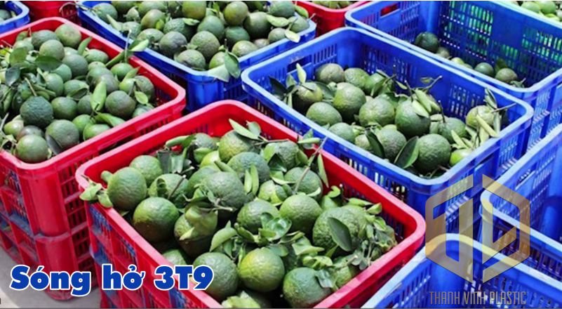 song h? 3t9 trong n?ng s?n