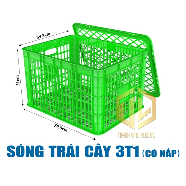 song trai cay 3t1 co nap