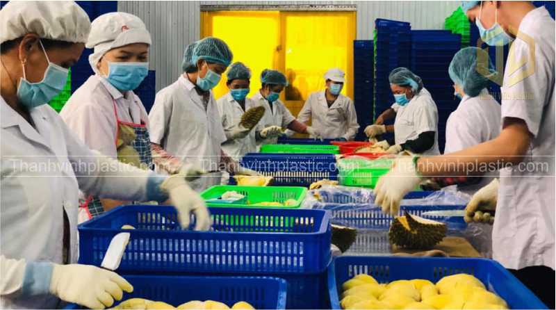 mang lót khay trong x??ng c?p ??ng