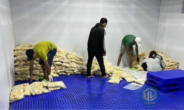 ?u ?i?m n?i b?t c?a pallet nh?a kh?ng chan