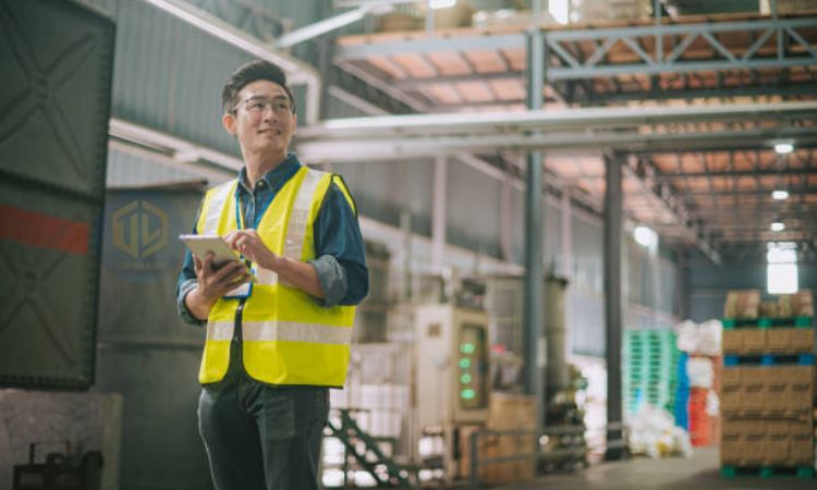 ?u ?i?m và h?n ch? c?a vi?c s? d?ng kho ngo?i quan