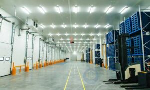 ?u ?i?m c?a pallet nh?a cho kho l?nh