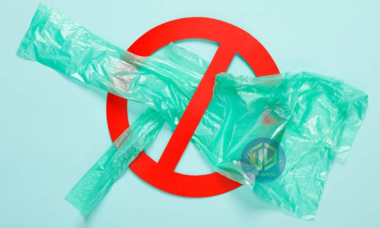 Nguyên nhan d?n ??n vi?c l?m d?ng túi nilon