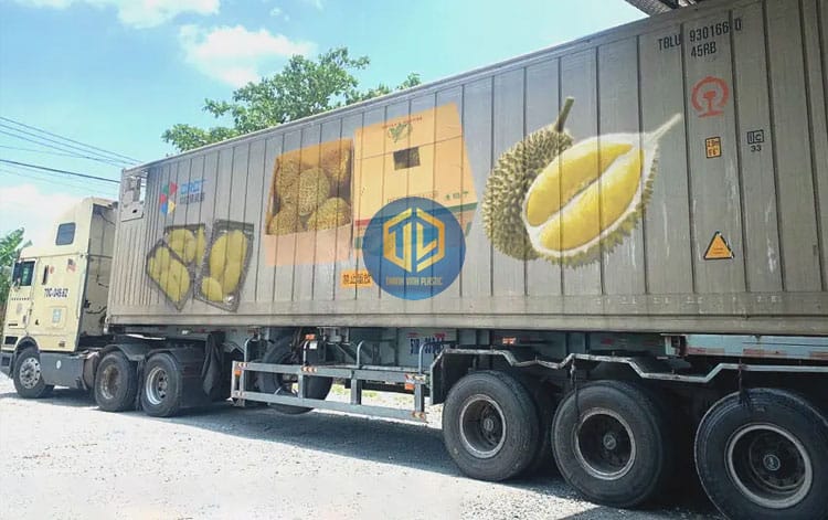 cach-van-chuyen-sau-rieng-3