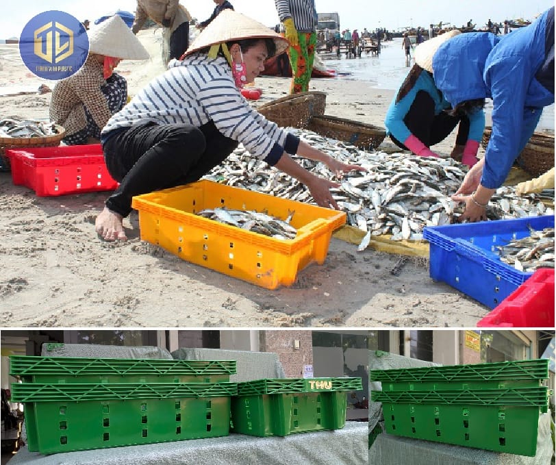 K?t cá t?i Khánh Hòa