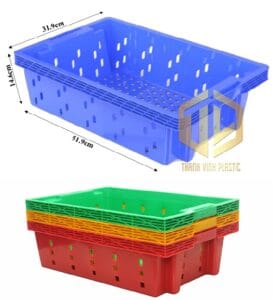 K?t cá t?i Nha Trang, Khánh Hòa