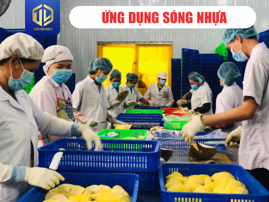 ?ng d?ng sóng nh?a t?i TP.HCM