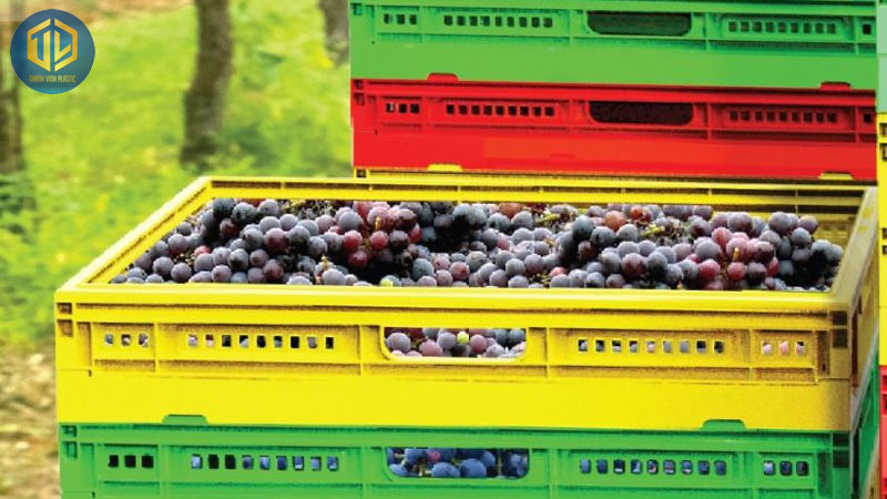 gio-nhua-dung-trai-cay-1