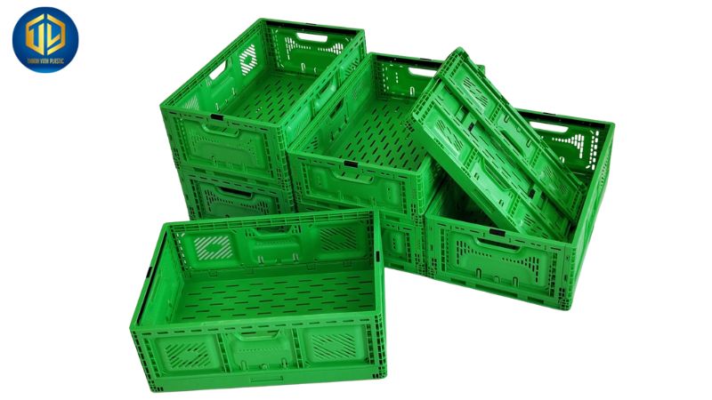 ro-nhua-dung-trai-cay-3