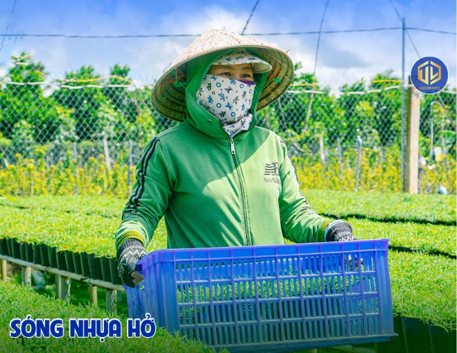 Sóng nh?a h?-?ng d?ng