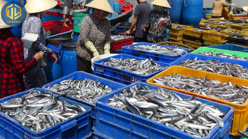 thung-dung-ca-bang-nhua