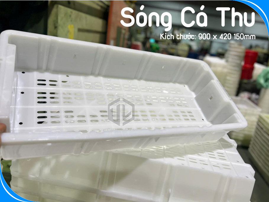 Sóng cá thu giá r?