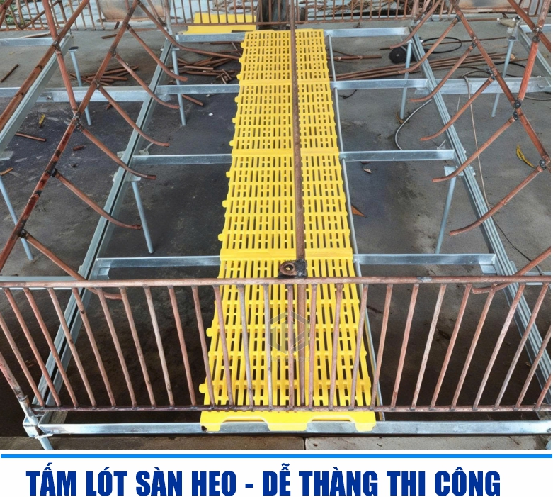 Thi c?ng, l?p ??t t?m lót sàn chu?ng heo