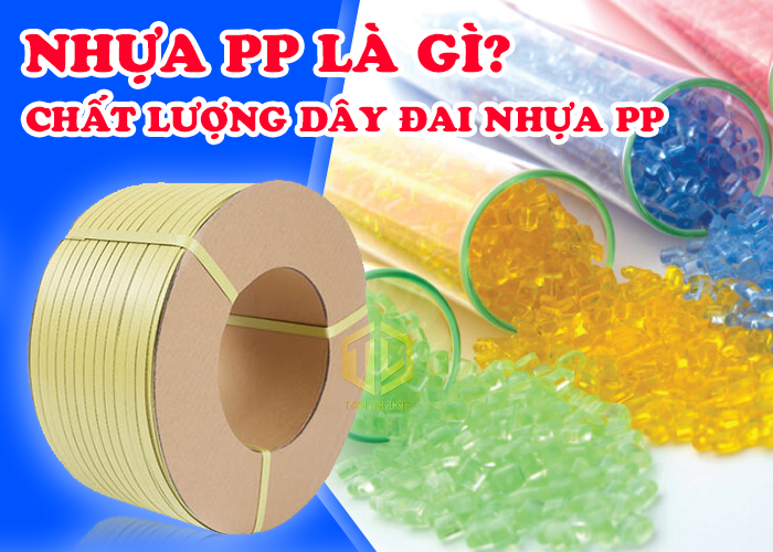 Day ?ai nh?a PP là gì