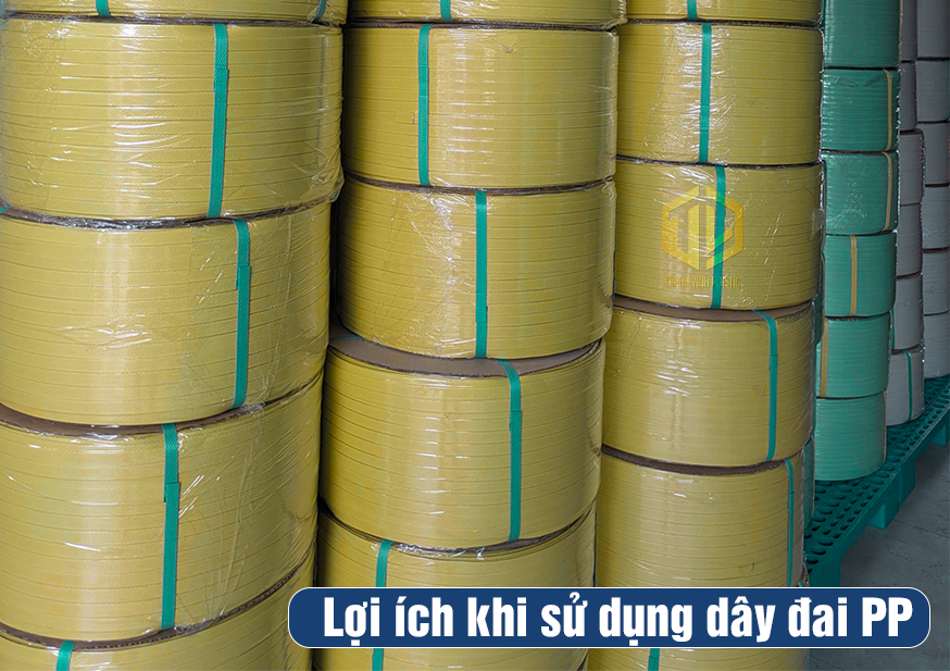 L?i ích khi s? d?ng day ?ai PP