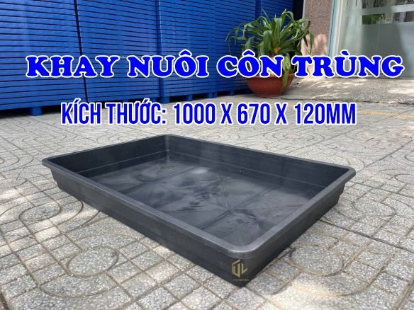 Khay nu?i c?n trùng