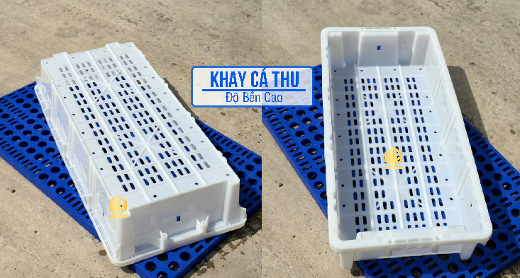 ?u ?i?m v??t tr?i c?a khay cá thu